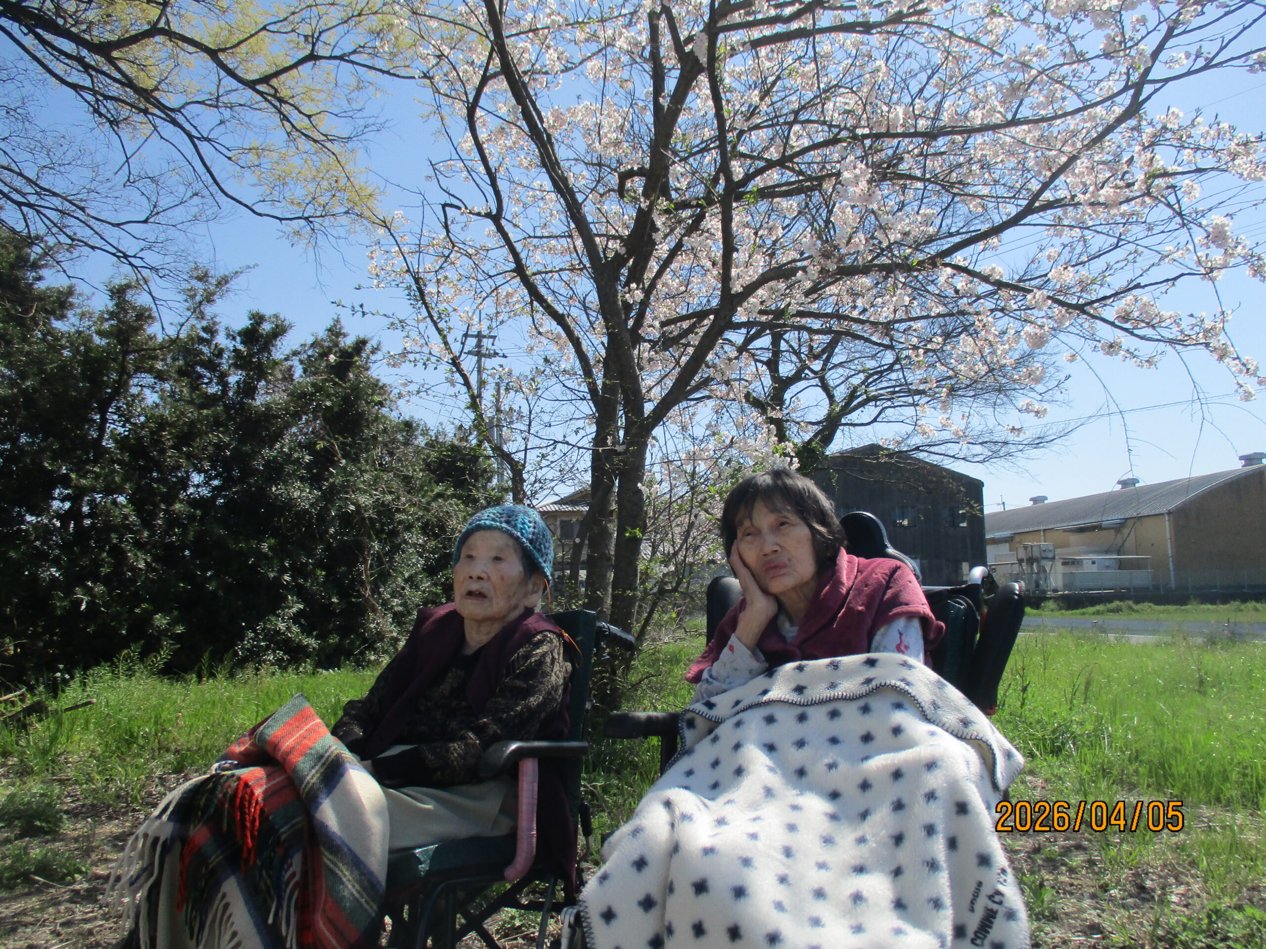 画像: